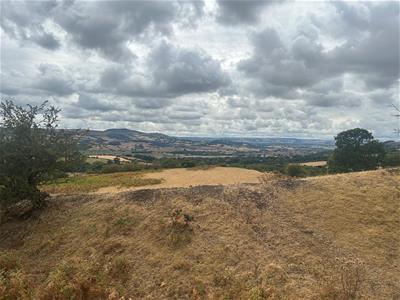 Picture 23